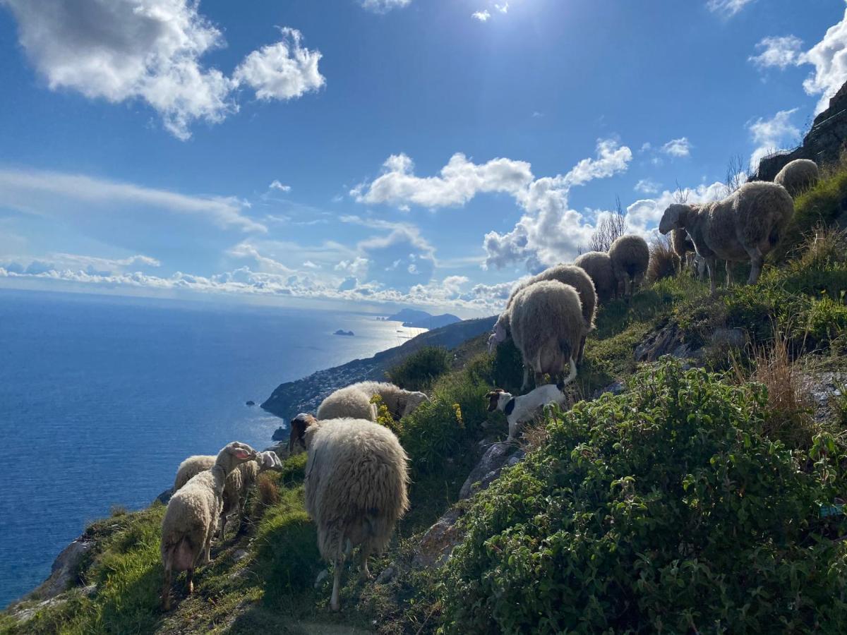 B&B Miramare Agerola Dış mekan fotoğraf