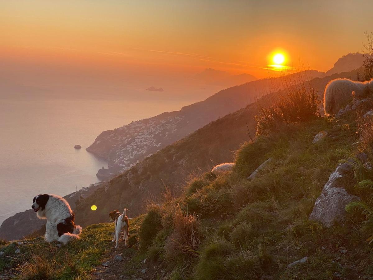 B&B Miramare Agerola Dış mekan fotoğraf