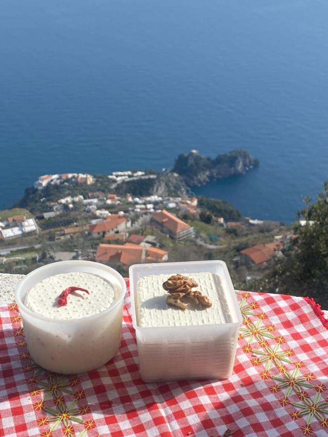 B&B Miramare Agerola Dış mekan fotoğraf