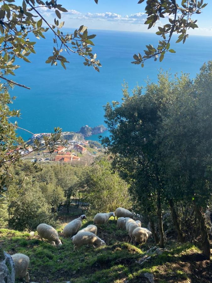 B&B Miramare Agerola Dış mekan fotoğraf