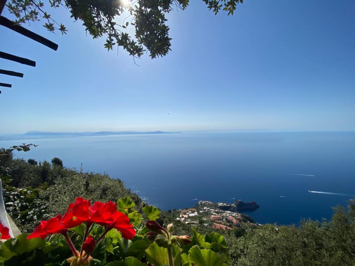B&B Miramare Agerola Dış mekan fotoğraf