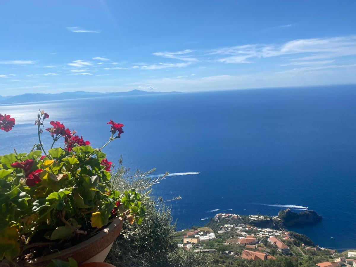 B&B Miramare Agerola Dış mekan fotoğraf