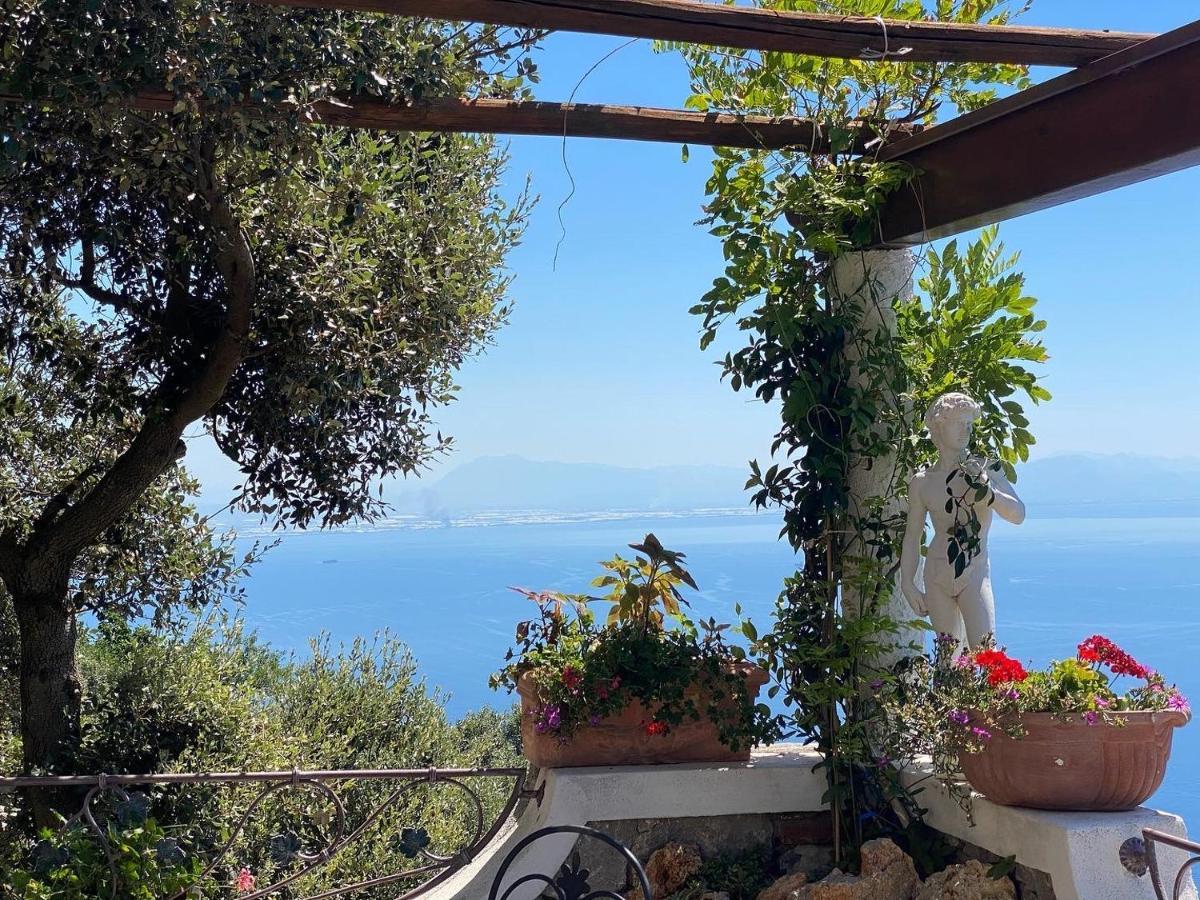 B&B Miramare Agerola Dış mekan fotoğraf