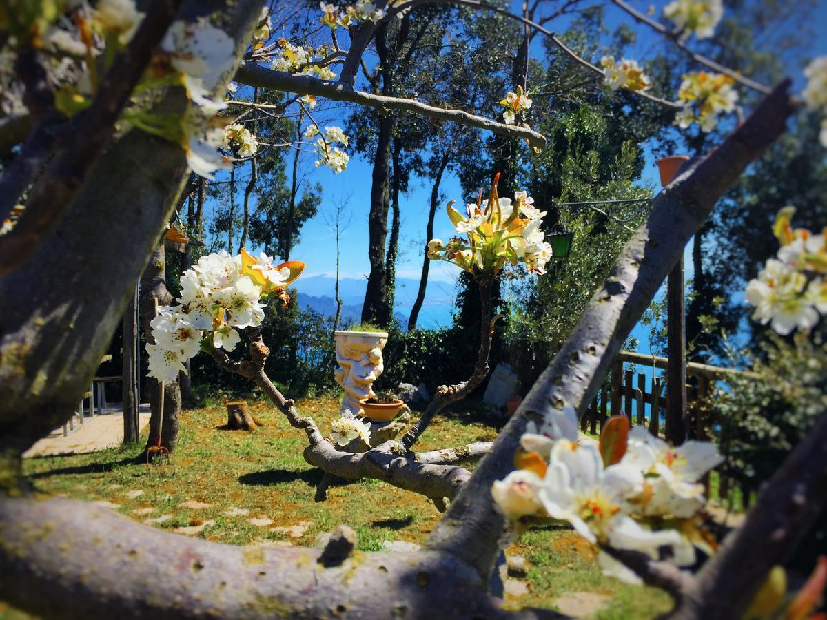 B&B Miramare Agerola Dış mekan fotoğraf