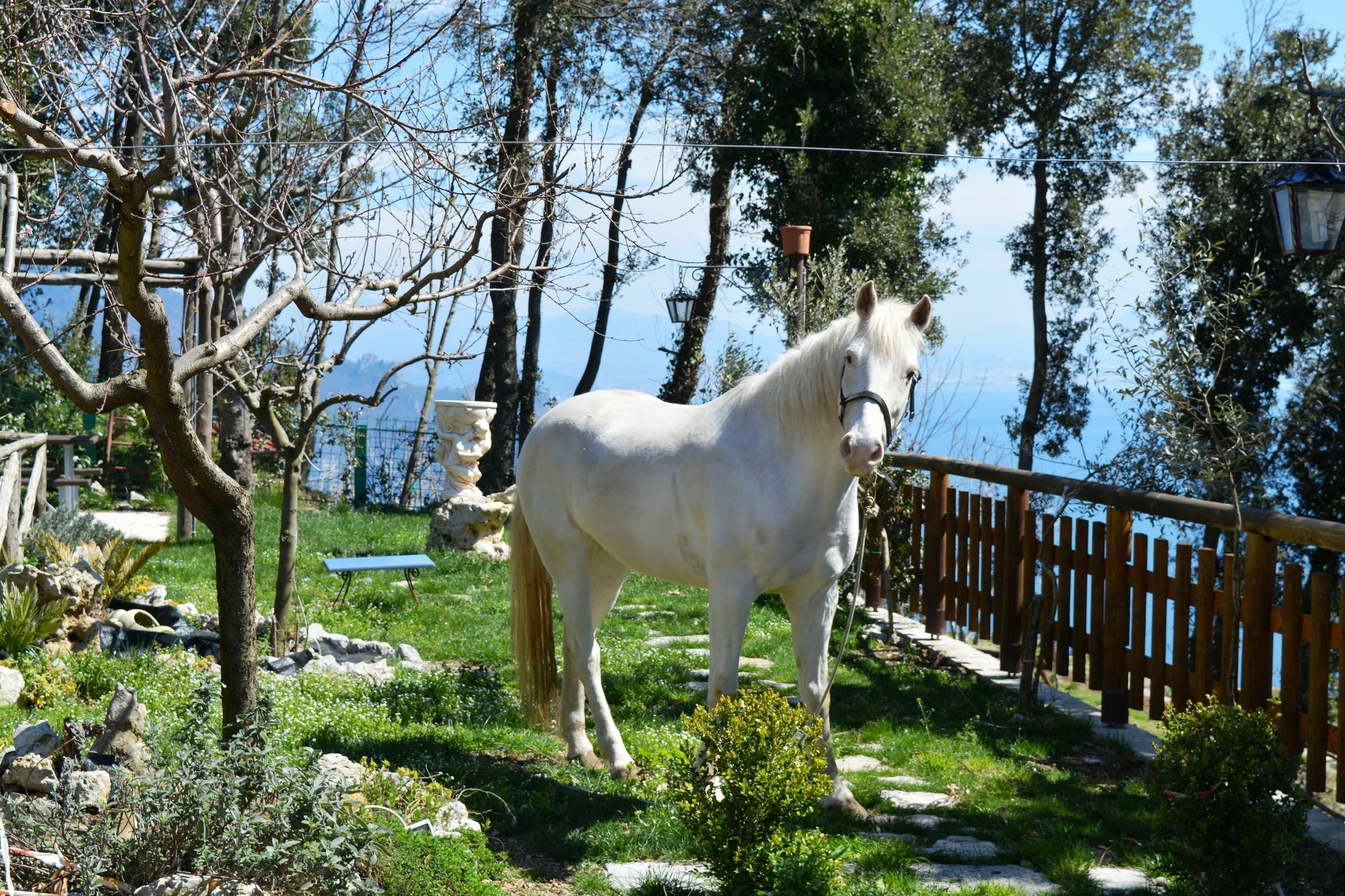 B&B Miramare Agerola Dış mekan fotoğraf