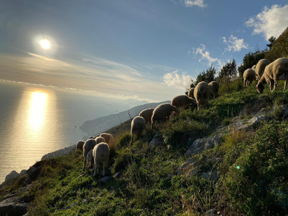 B&B Miramare Agerola Dış mekan fotoğraf