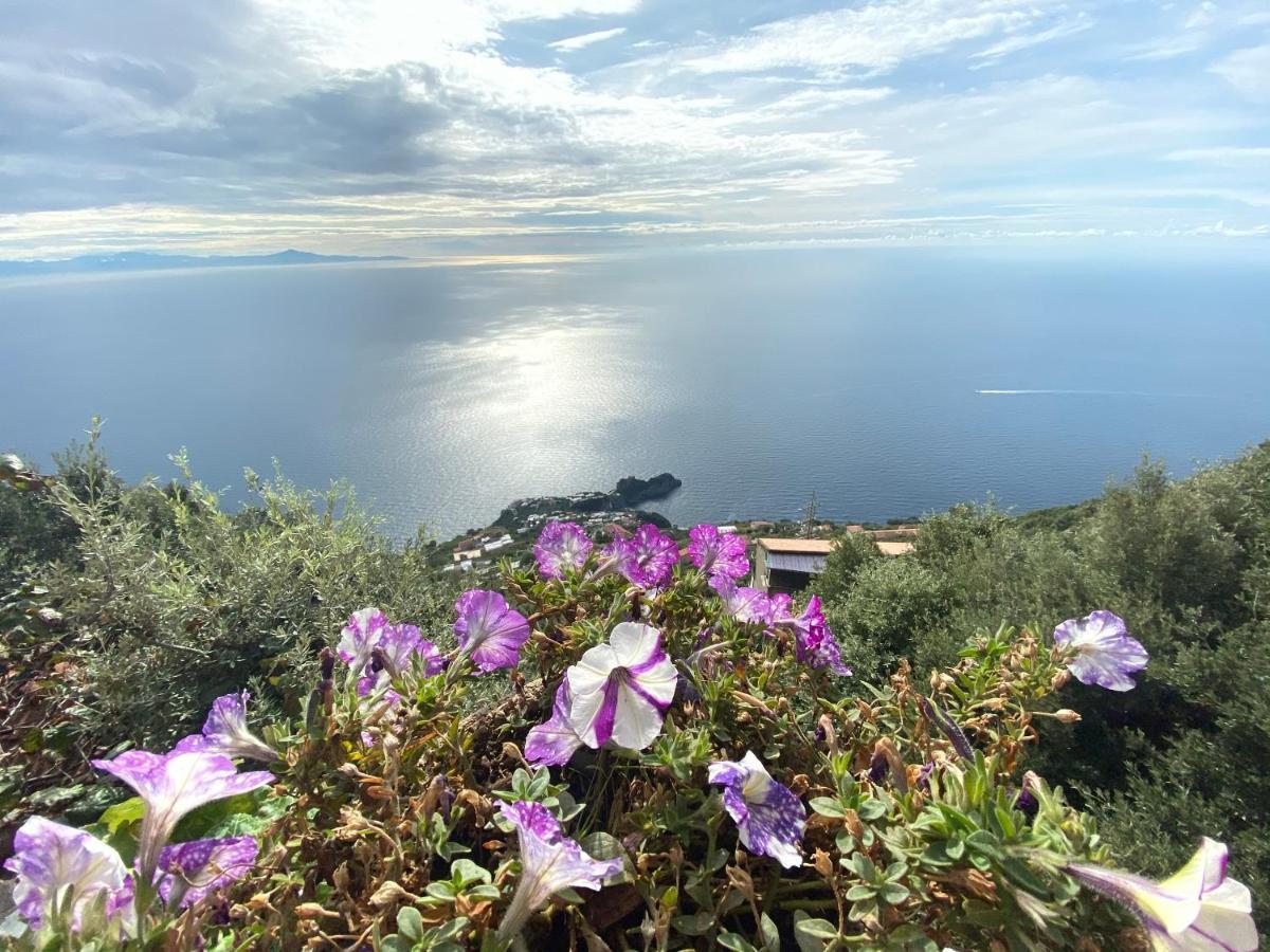 B&B Miramare Agerola Dış mekan fotoğraf